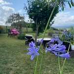 Olhatsia Ilharre