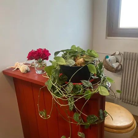 Olhatsia Δωμάτια σε οικογενειακή κατοικία *