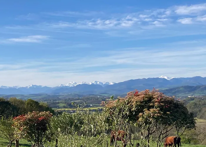 Olhatsia Privat bolig Ilharre