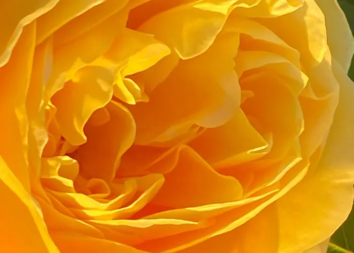 Privat bolig Olhatsia Ilharre